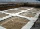 Betonare fundatii Constanta
