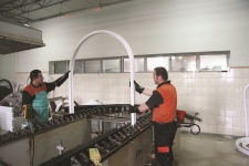Ferestre si tamplarie aluminiu Constanta
