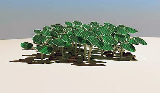 Padurea solara
